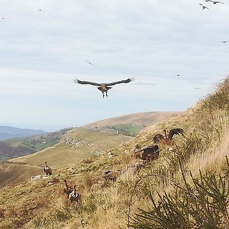 La Pasiega San Roque de Riomiera Luaran gambar