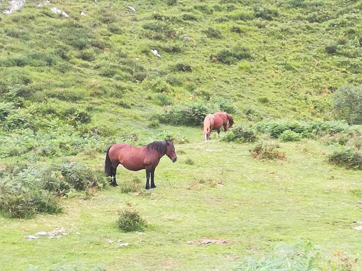 La Pasiega San Roque de Riomiera Luaran gambar